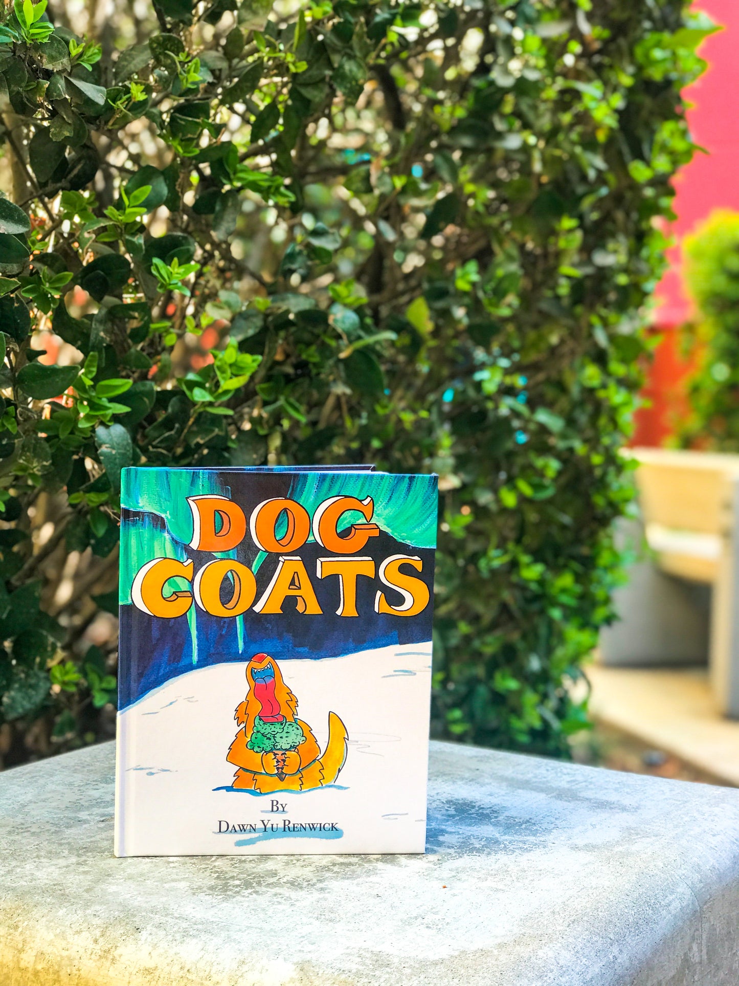 Children's Picture Book 'Dog Coats'