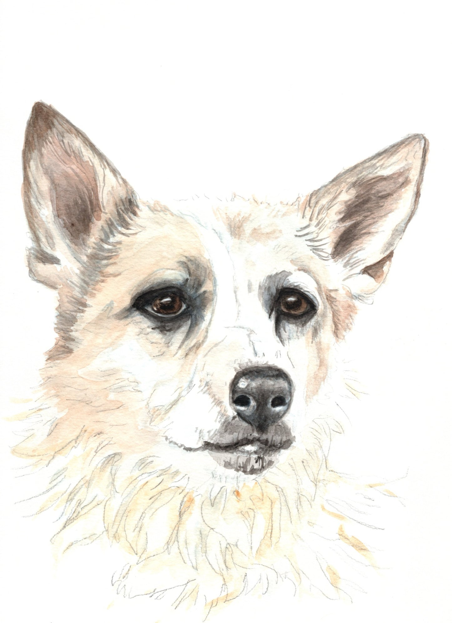 Custom Watercolor Dog Portrait