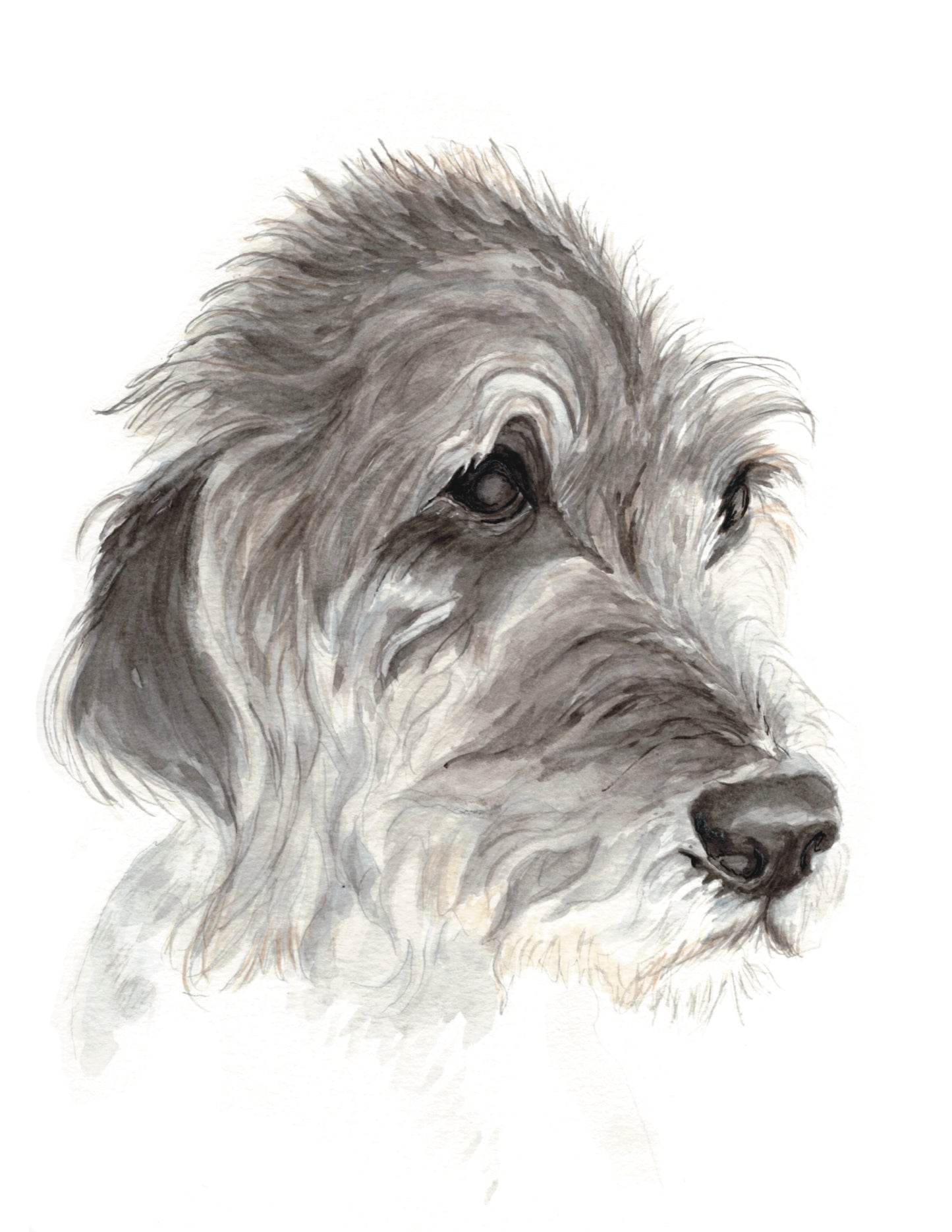 Custom Watercolor Dog Portrait