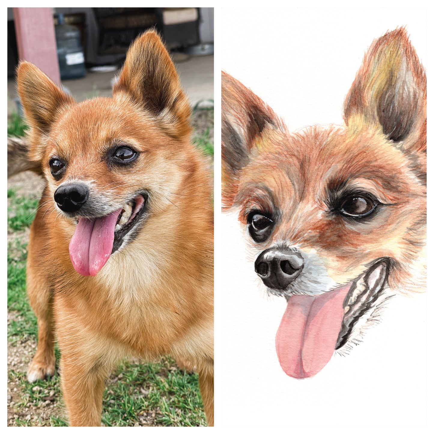 Custom Watercolor Dog Portrait