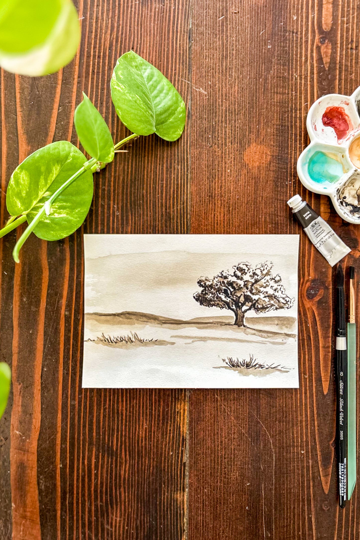 California Valley Oak Watercolor